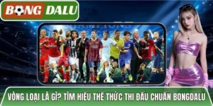 Vòng Loại Là Gì